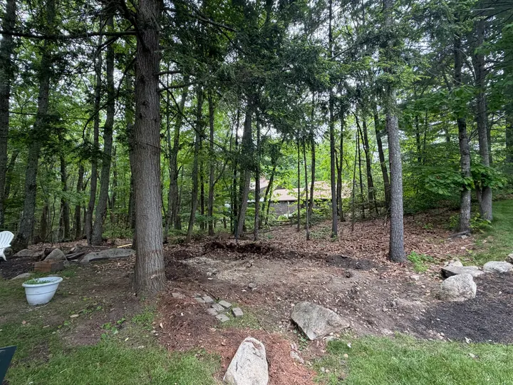 The cleared spot in the woods after the coop was removed