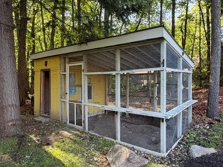 Backyard coop building before Rocky's Junk Removal took it down