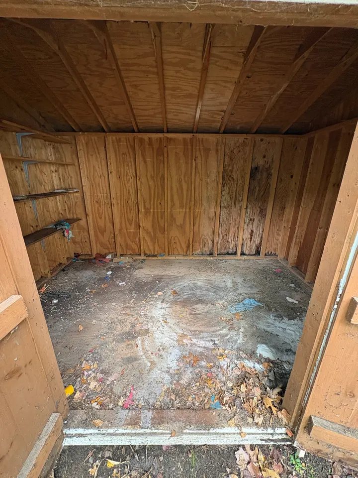 The same Haverhill, MA shed empty down to the plywood floor after Rocky's Junk Removal cleared it