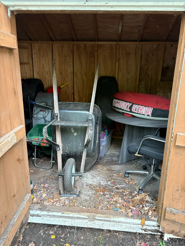 Haverhill, MA backyard shed packed with a wheelbarrow, spreader, table, office chair, and bins before Rocky's cleanout
